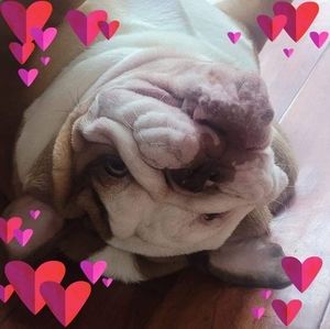 Meet your Posher, Yolanda